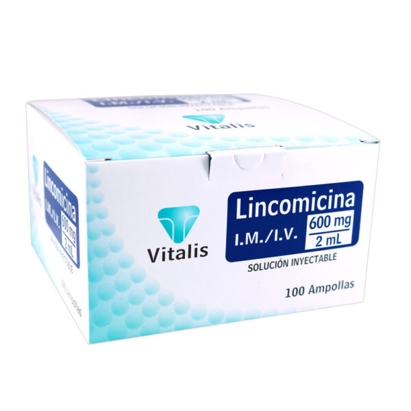 Lincomicina 600 Mg/2 Ml 100 Ampollas Vt