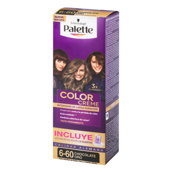Palette Color Crema Tubo 6-60 Chocolate Oro Gts Oxigenta