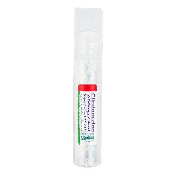 Clindamicina 600 Mg 4 Ml Ampolla Corpaul